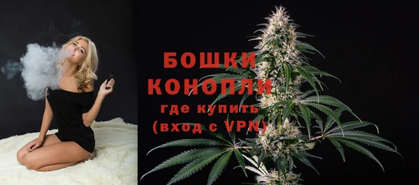 spice Туринск