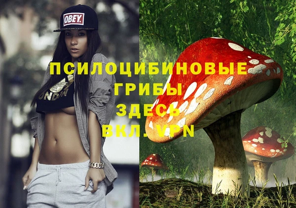 apvp Касимов