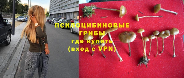 круглые Каменногорск