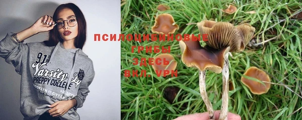 круглые Каменногорск